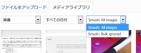 プラグイン「smush」が「Organize Media Library by Folders」と競合するようになった模様…